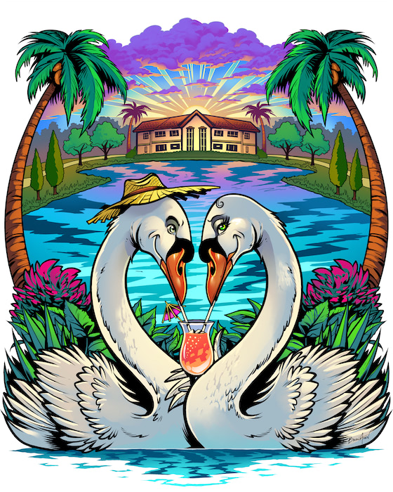 Swans At the Lake Two swans in love swim on a lake and share a drink.